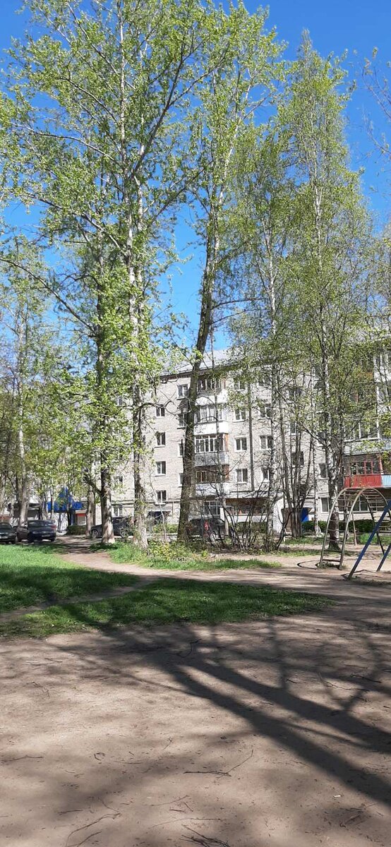  Фото автора.