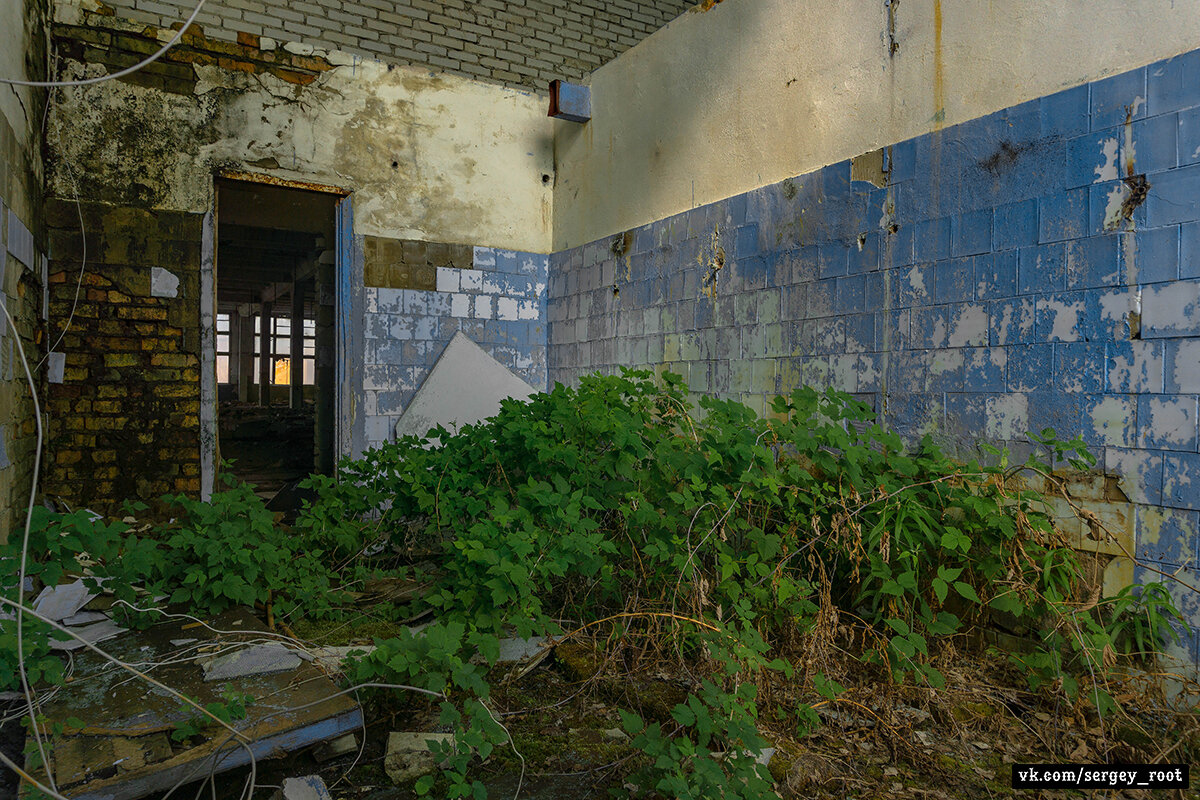 Пензенские заброшки. Пенза заброшенный завод. Заброшки в богословке пенза. Пенза богословка заброшка. Недостроенная больница пензенская область.