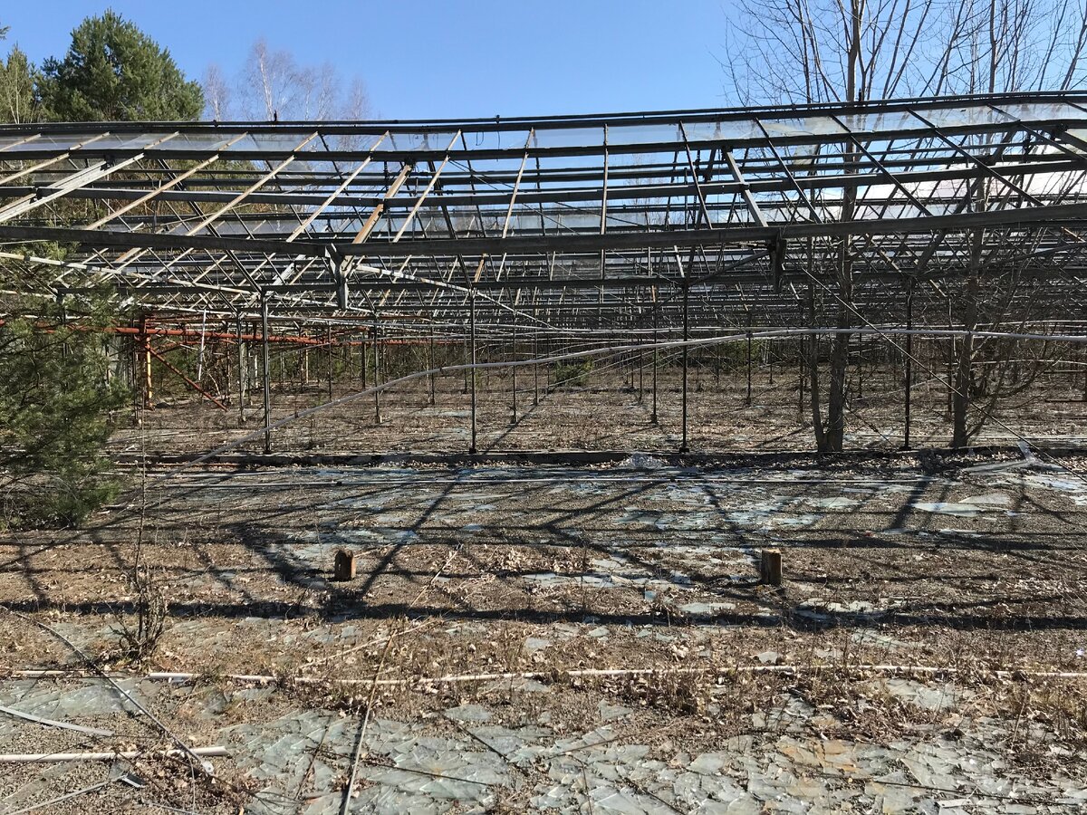 Припять. Заброшенные теплицы