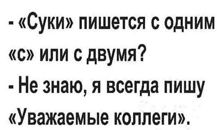 Добрый день дорогие друзья мем "Суки" пишется с одним "с" или с двумя? Автостекла - Avtosteklo.top Дзен