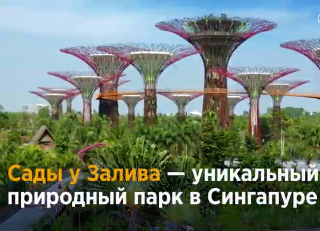 Сады в Сингапуре