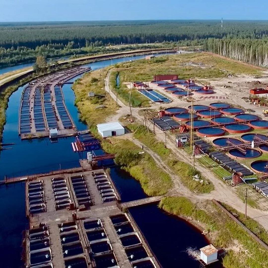 Рыботорговая ферма "Диана" в Вологодской области на реке Суда
