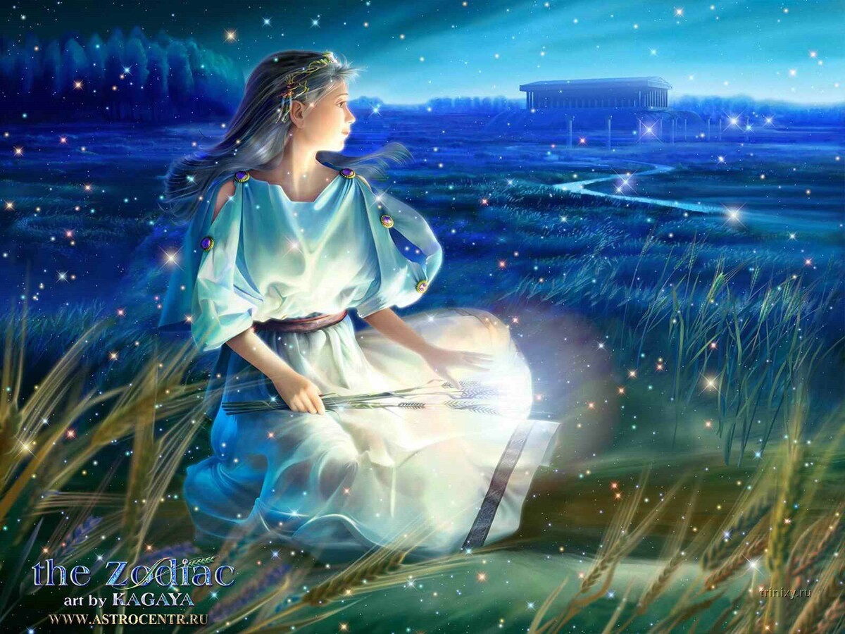 Фото взято из интернета