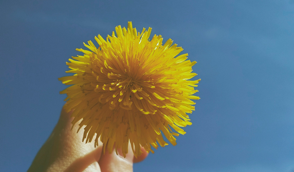 "Прогулка в мае" фото автора