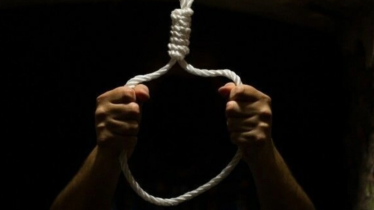 Фото взято из интернета