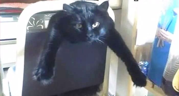 Взято с сайта http://nevsedoma.com.ua/index.php?newsid=335822