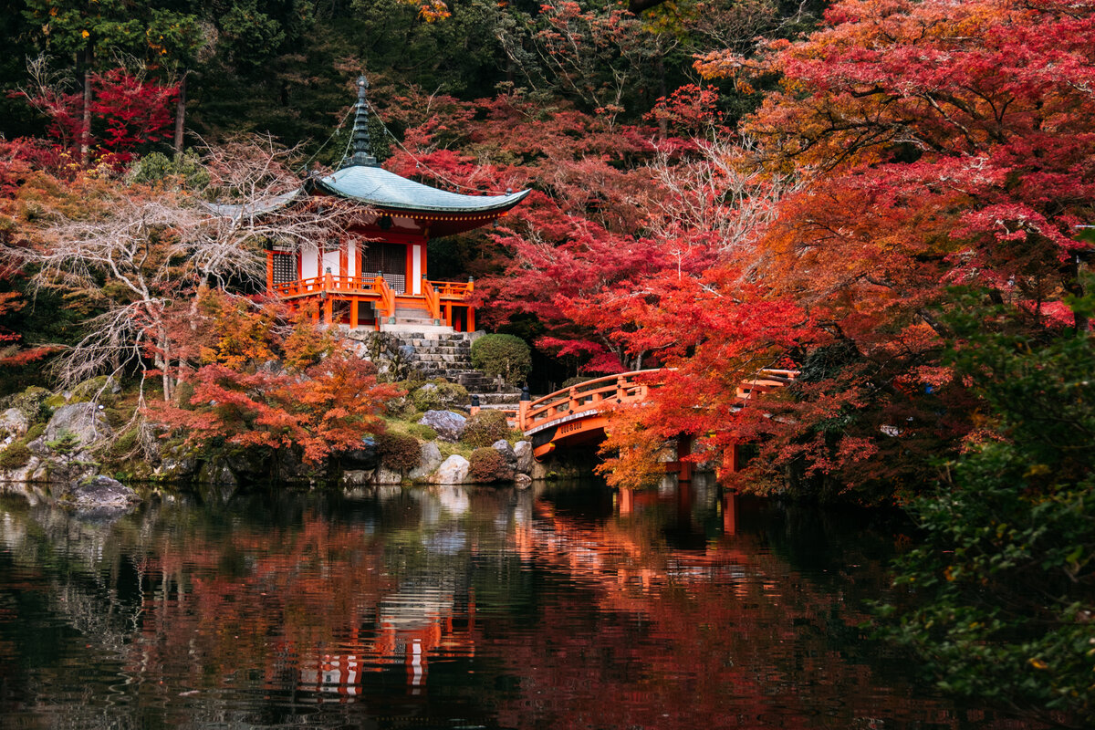 Сад в Киото