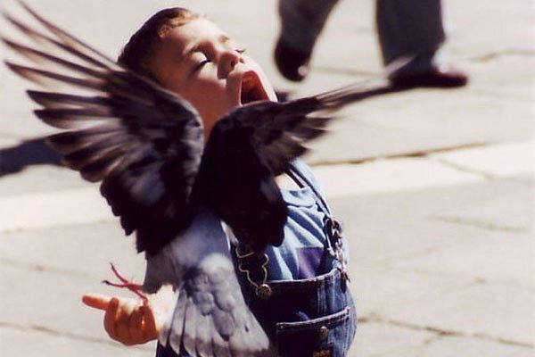 Источник: яндекс.картинки