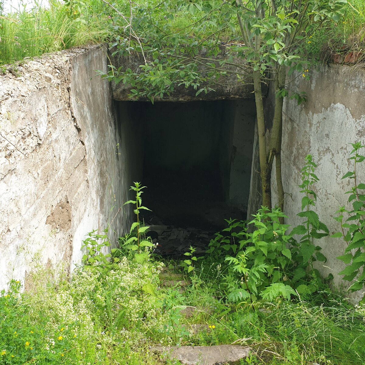 Аэродром плесецк
