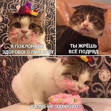Мда