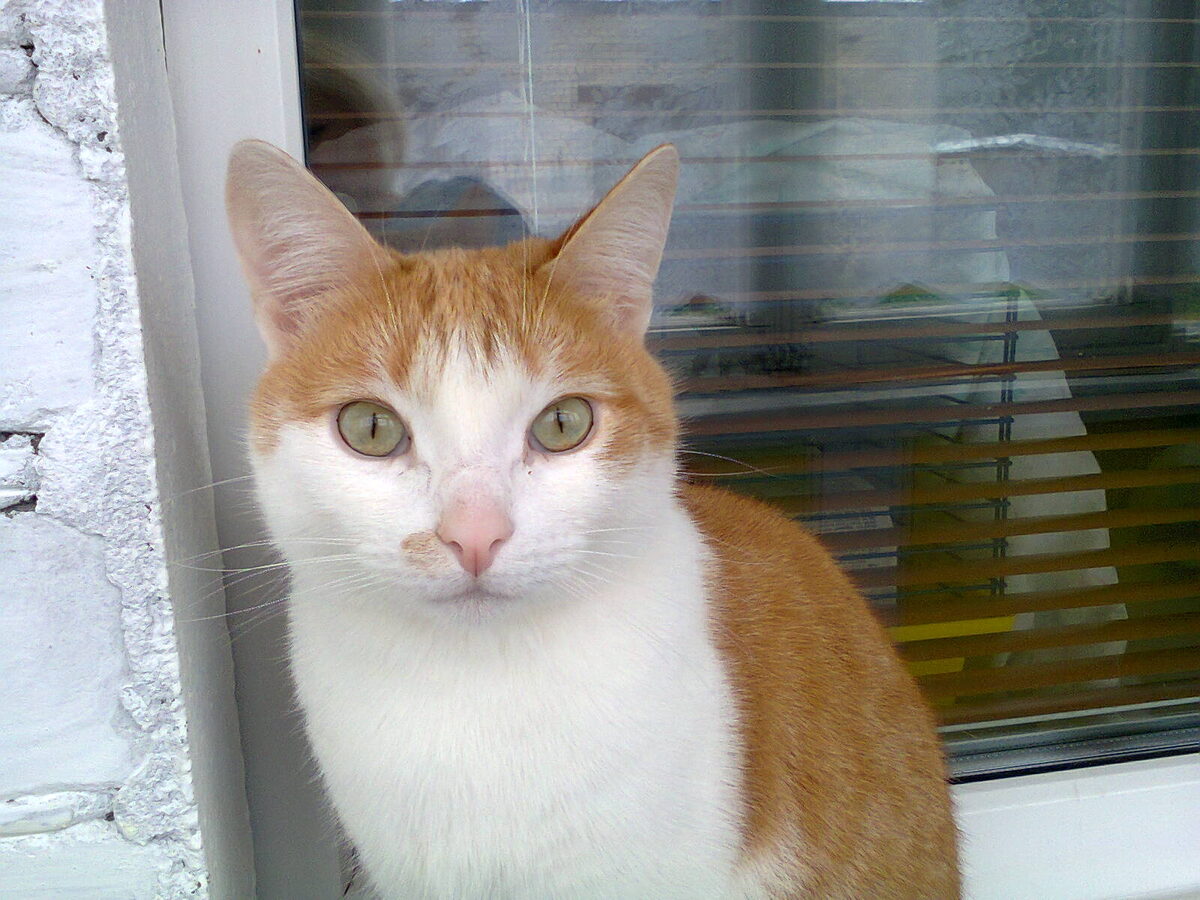 Фото автора.