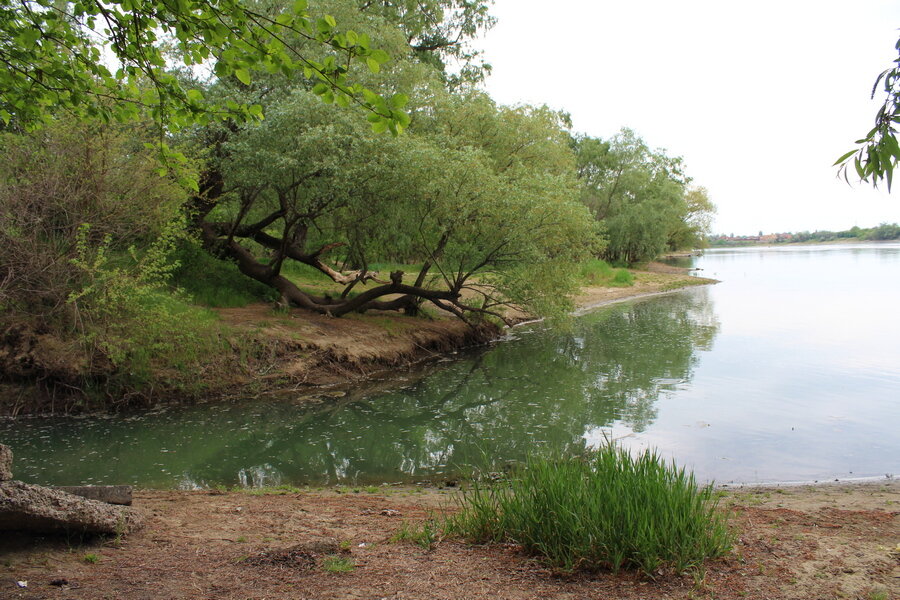 река Кубань