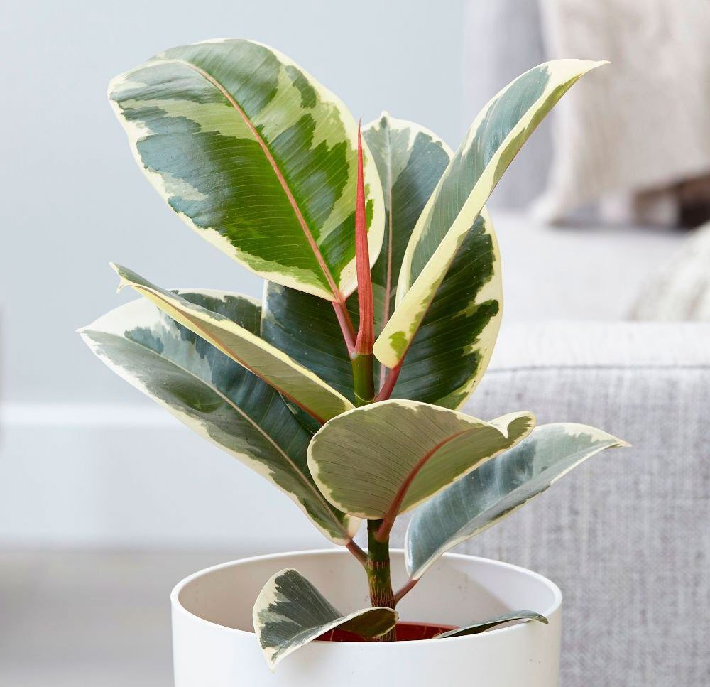 Источник фото: fotostrana.ru 