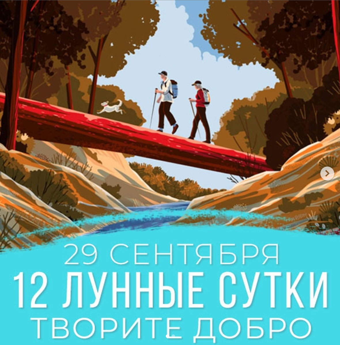 12 лунные сутки