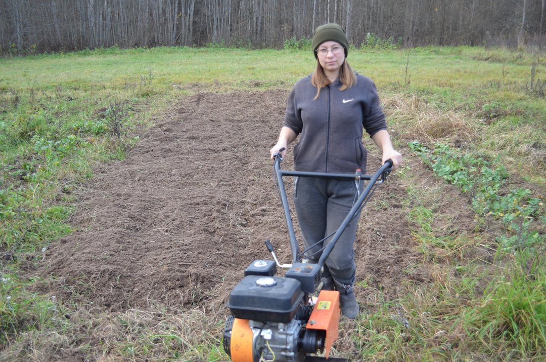 В первый год перепахивала почву мотоблоком.