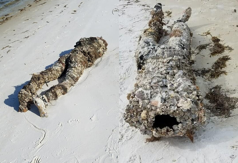 Фото © Facebook / Ocean Hour