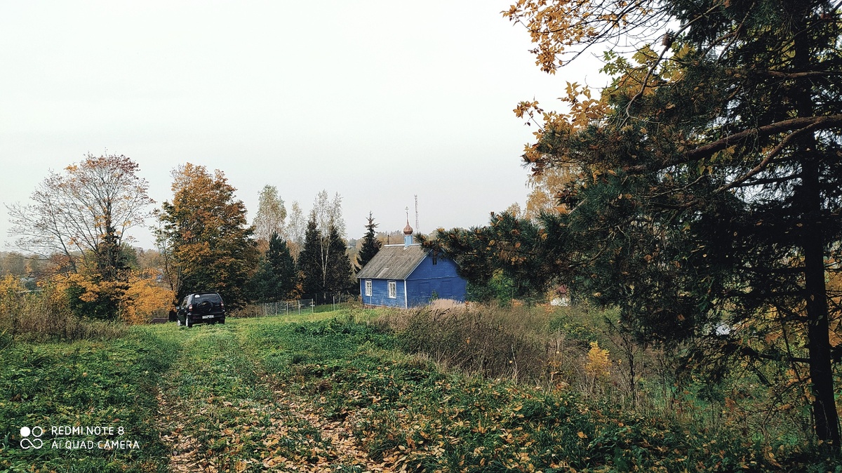 Я не видела раньше такого