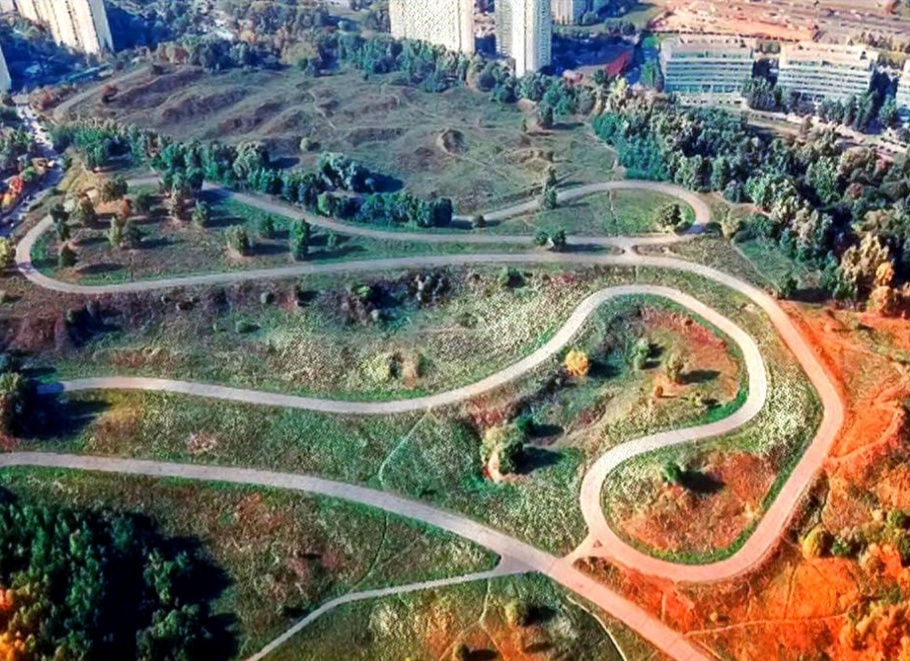 Коллаж автора