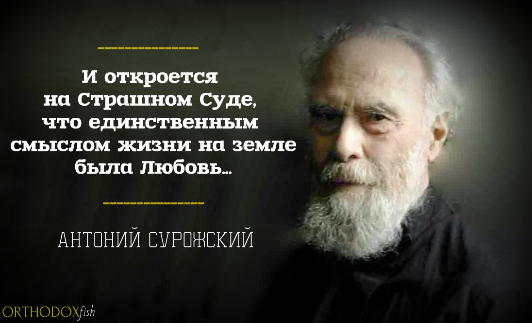 Величайший из всех живущих. Размышления о смысле жизни. Православные мысли о смысле жизни. Православные высказывания о смысле жизни. Христианство смысл жизни человека.