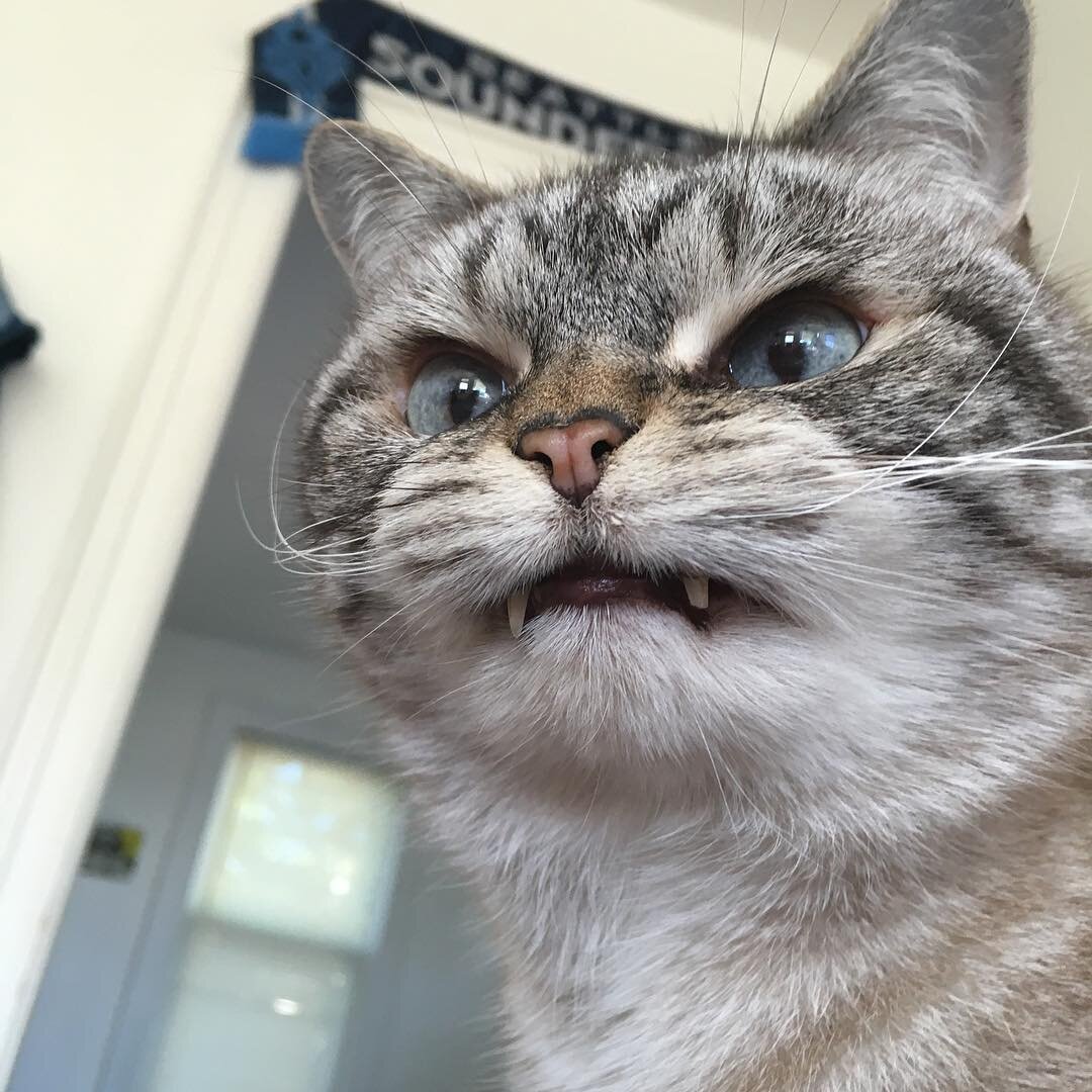 -2