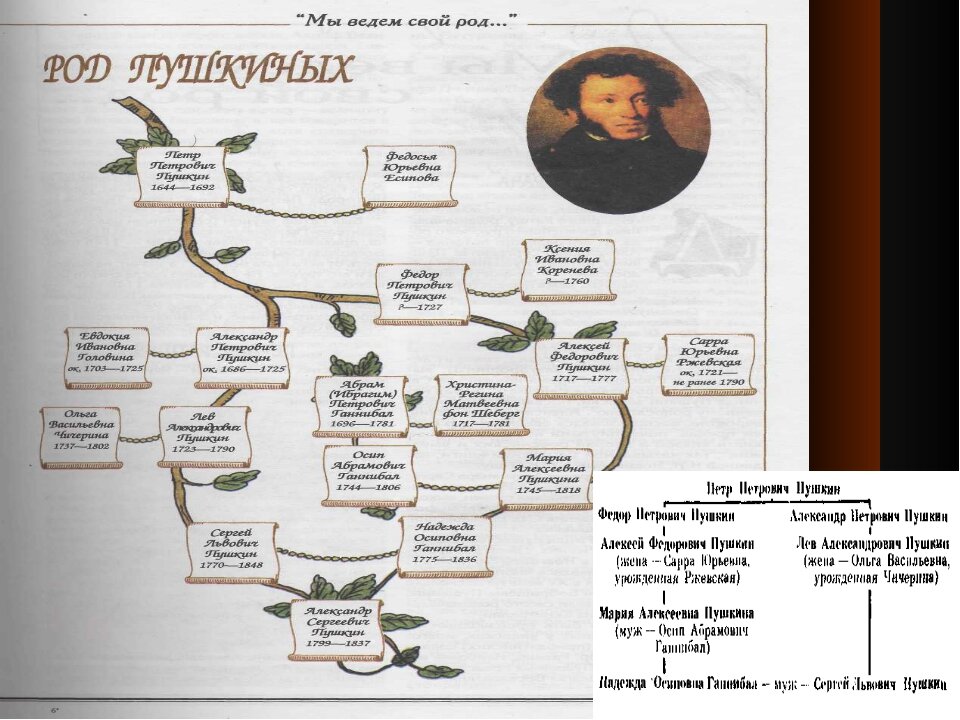 Генеалогическое древо пушкина схема