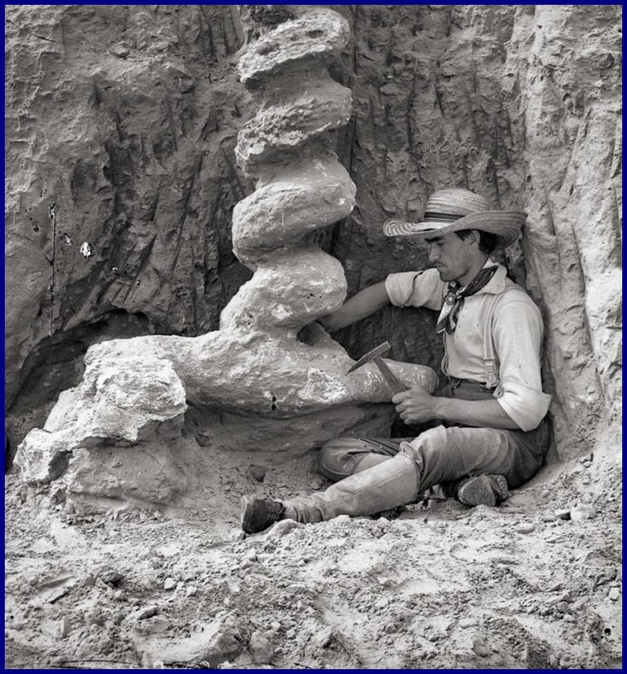 Источник фото: https://img-aws.ehowcdn.com/700x/cdn.onlyinyourstate.com/wp-content/uploads/2017/03/890-Thomas-Marsland-digging-out-Daemonelix_1-700x754.jpg