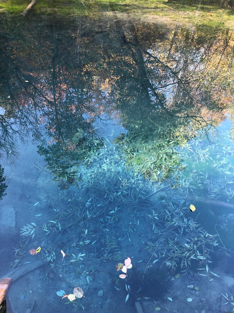 Фото: tripadvisor.ru