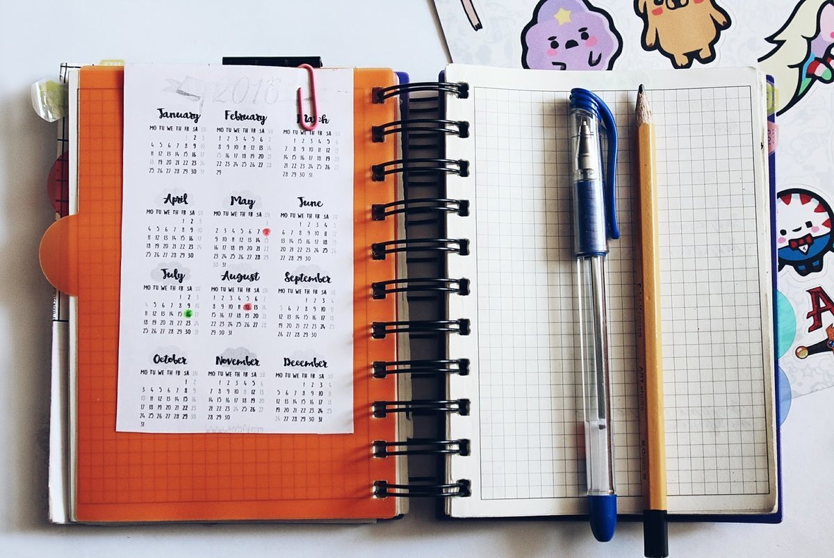 Фотография из открытого источника 