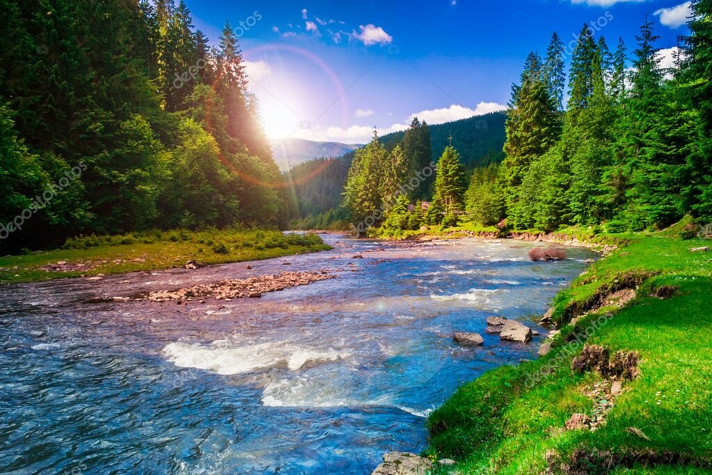 картинки из интернета