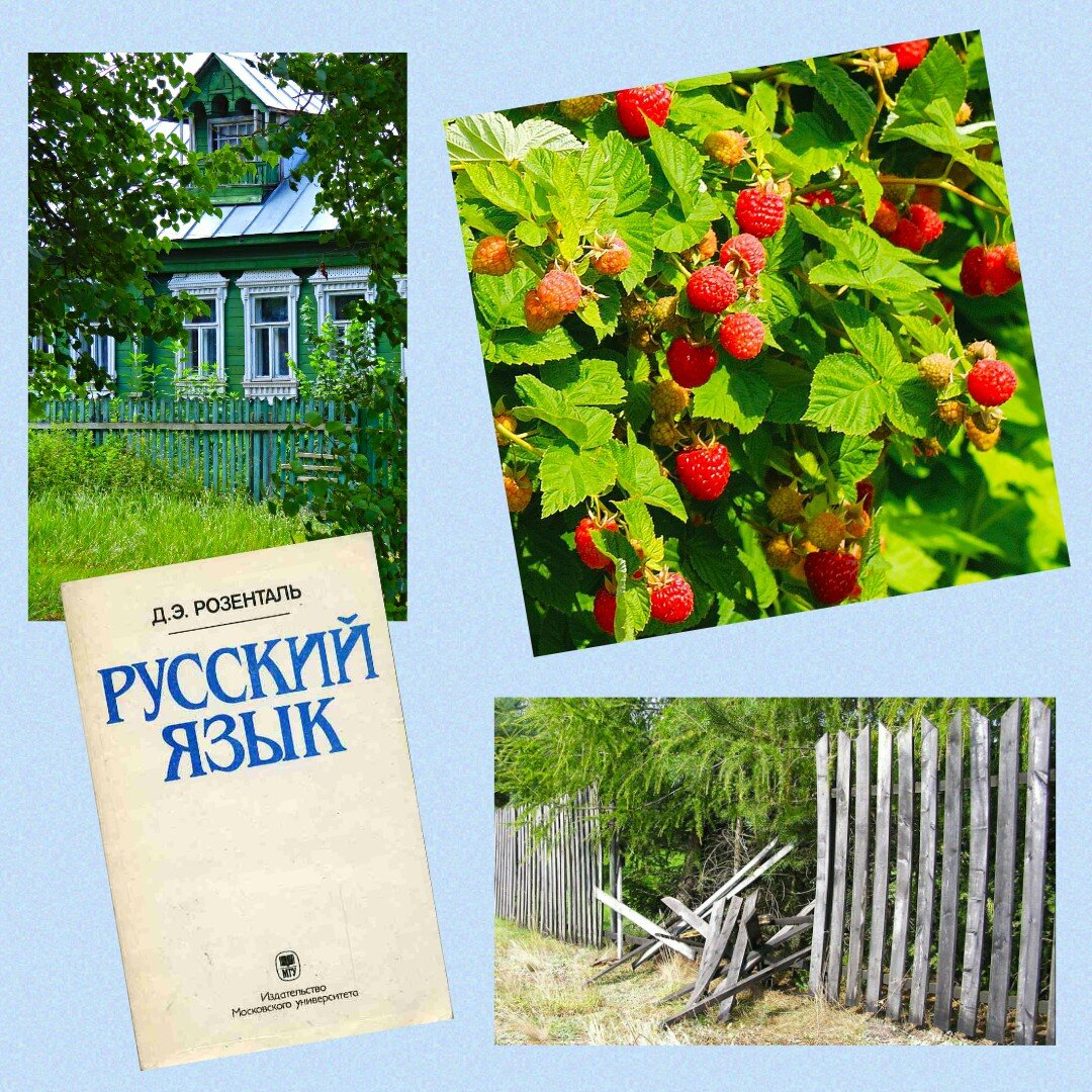 Коллаж специально для истории о Диме и Косте - сделала Елизавета Легостаева