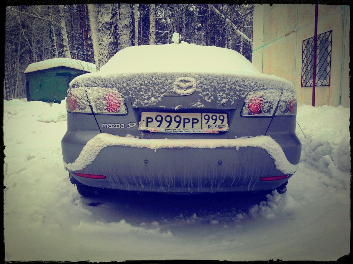 Суровые усы