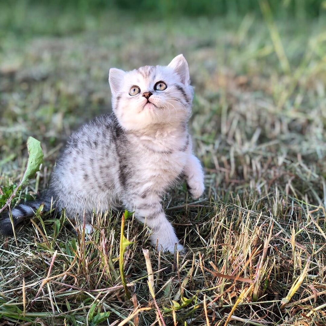 Наша маленькая Майя