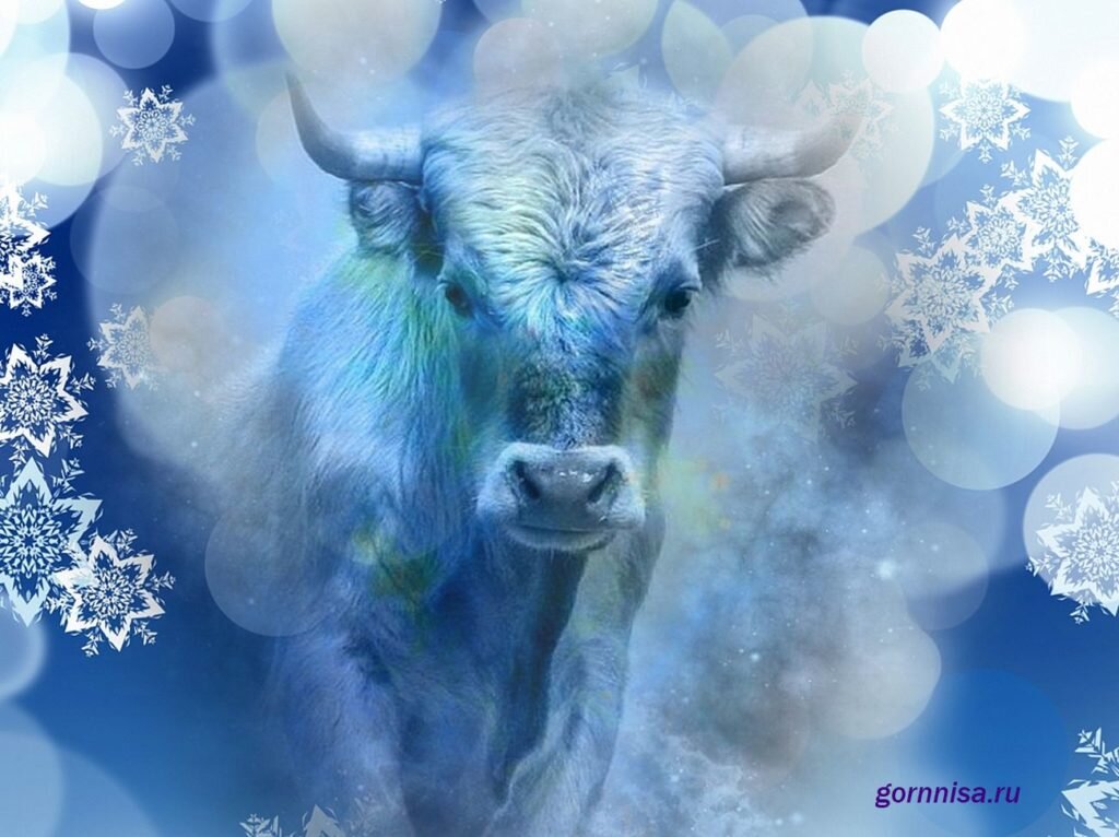 Составляю Квадрат ЛоШу или Восточную Карту рождения по дате рождения