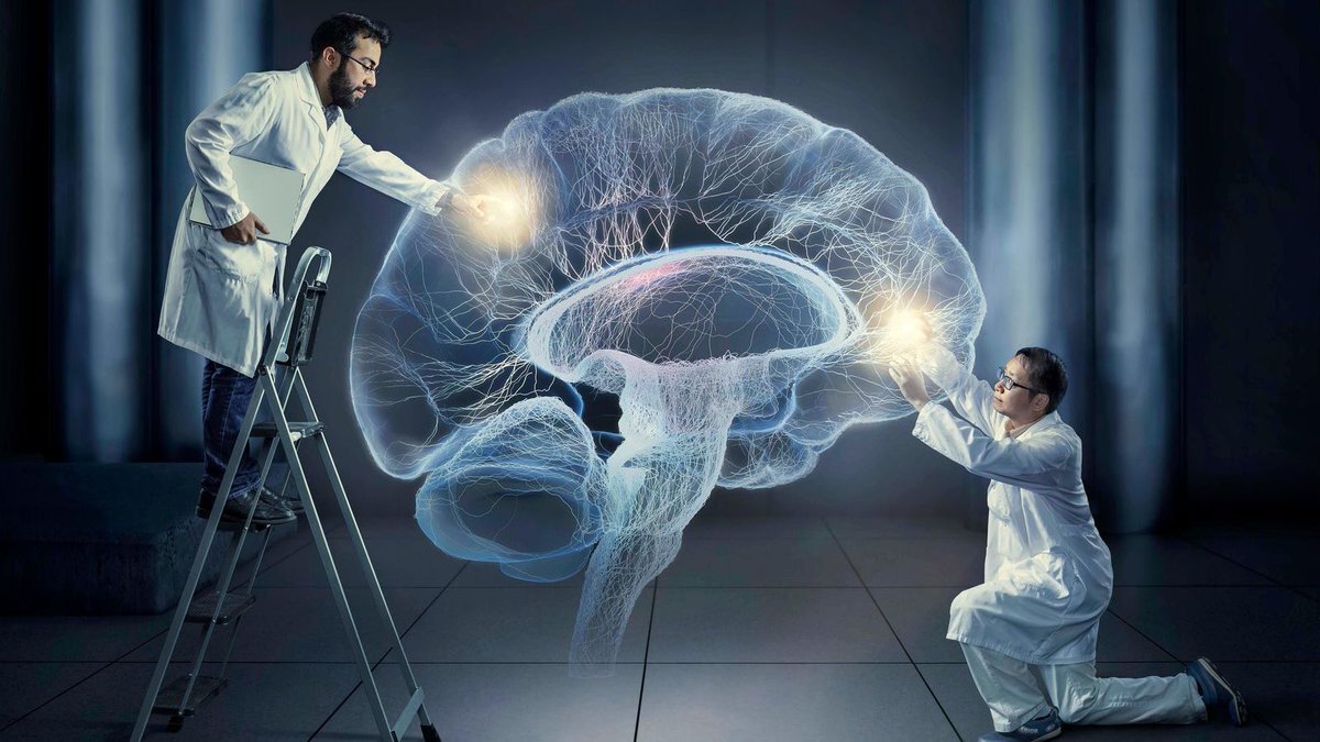 Гениальный мозг. Сознание человека. Подсознание человека. Заглянуть в мозг. Человеческий разум.