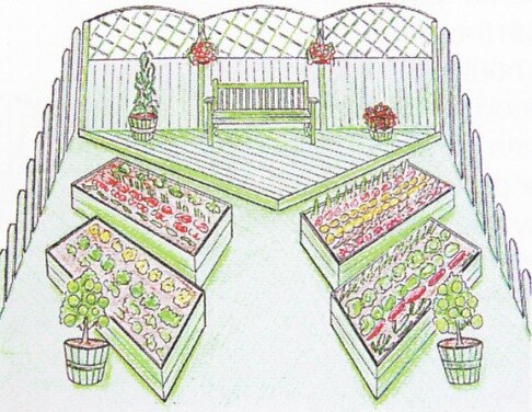 Посадка картофеля по митлайдеру: правильная схема посадки картошки Посадка карто