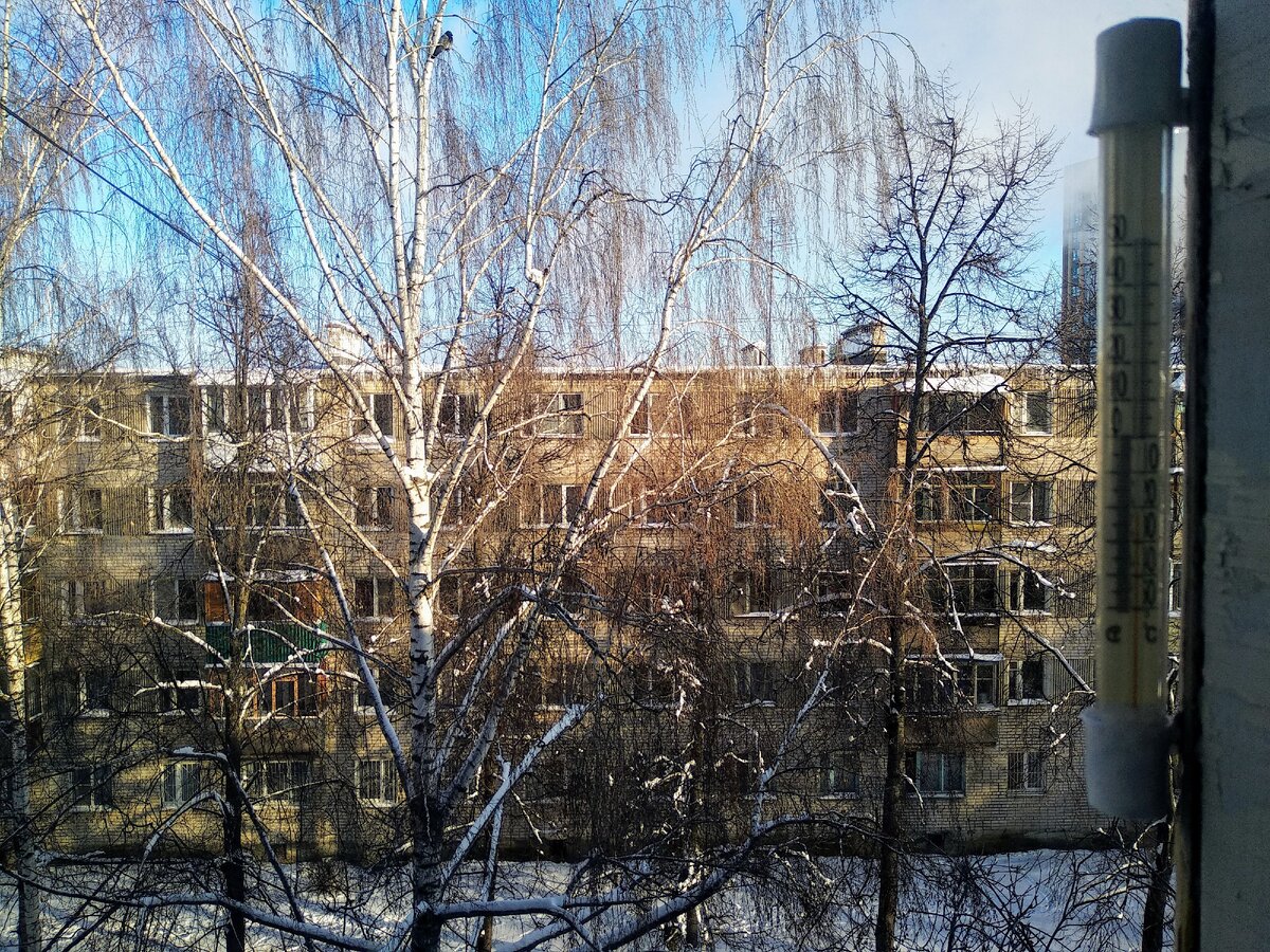 Морозный день, минус 24 - фото автора