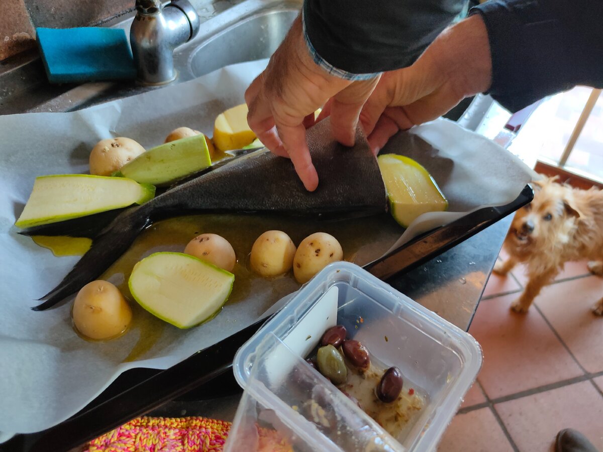 Ремо готовит мне ужин. Старый пёс на стрёме...