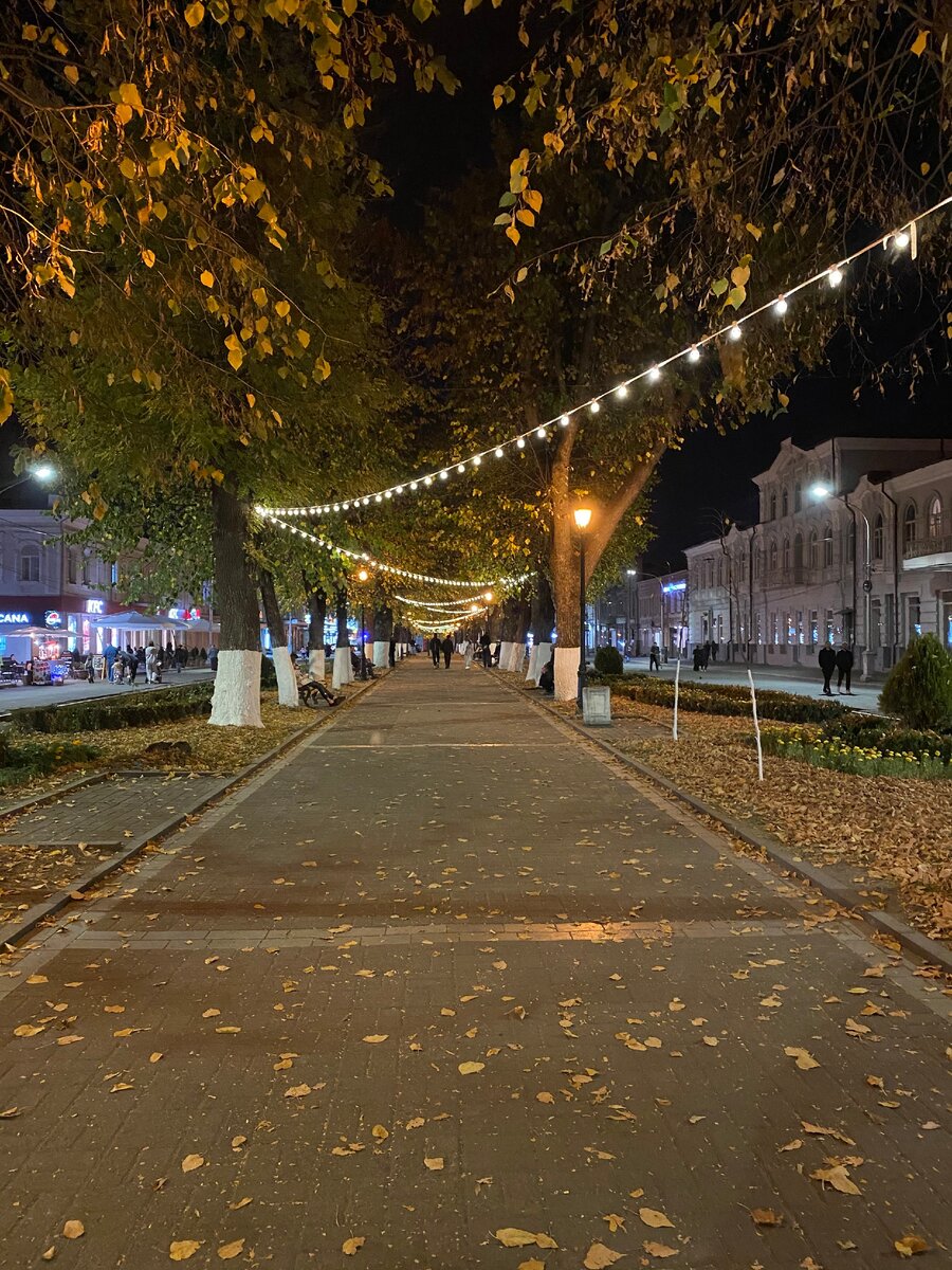 Аллея, украшенная огнями, на Проспекте Мира