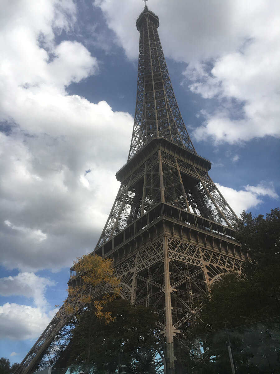 Моя мечта...