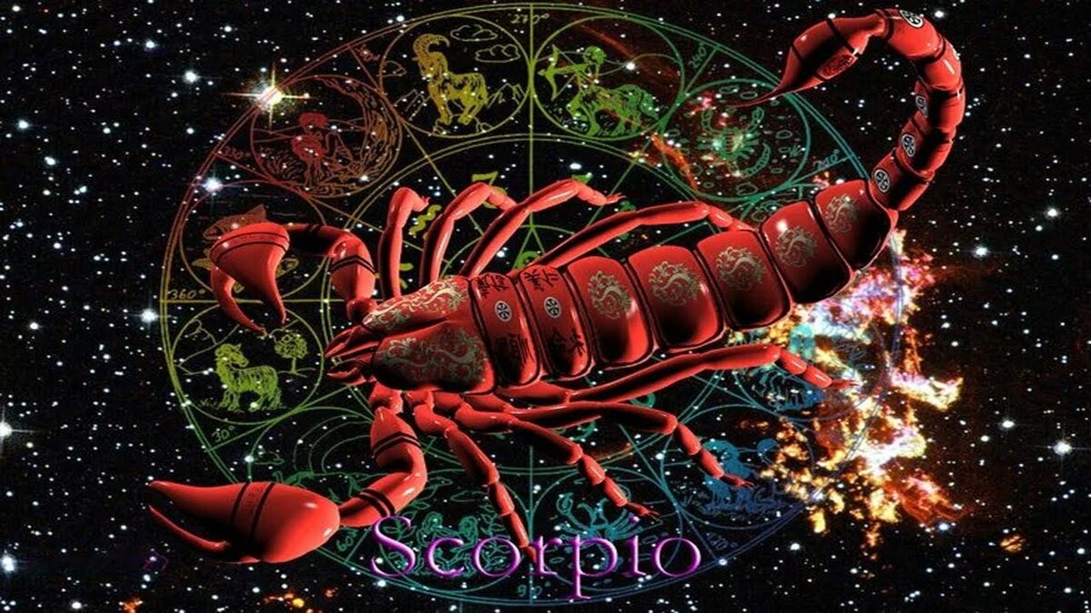 Скорпион гороскоп 3. Знак зодиака скорпион. скорпион зодиак. скорпион картинки. красивый скорпион.