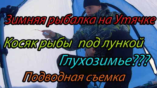 Собрал всю рыбу в косяк под лункой, но не поймал