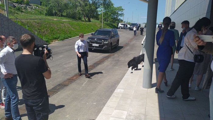 фото: Александр Дедов 