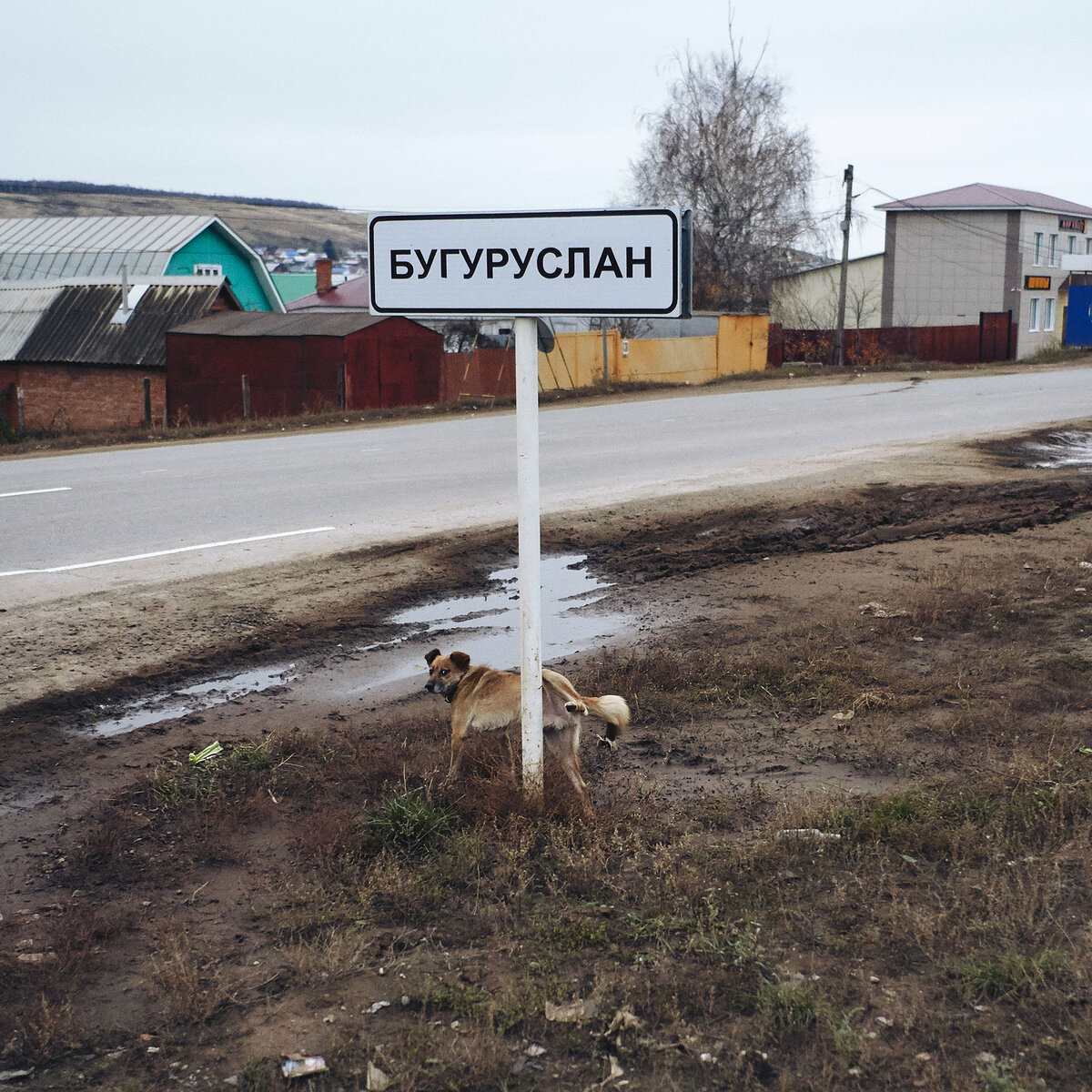 Интернет бугуруслан