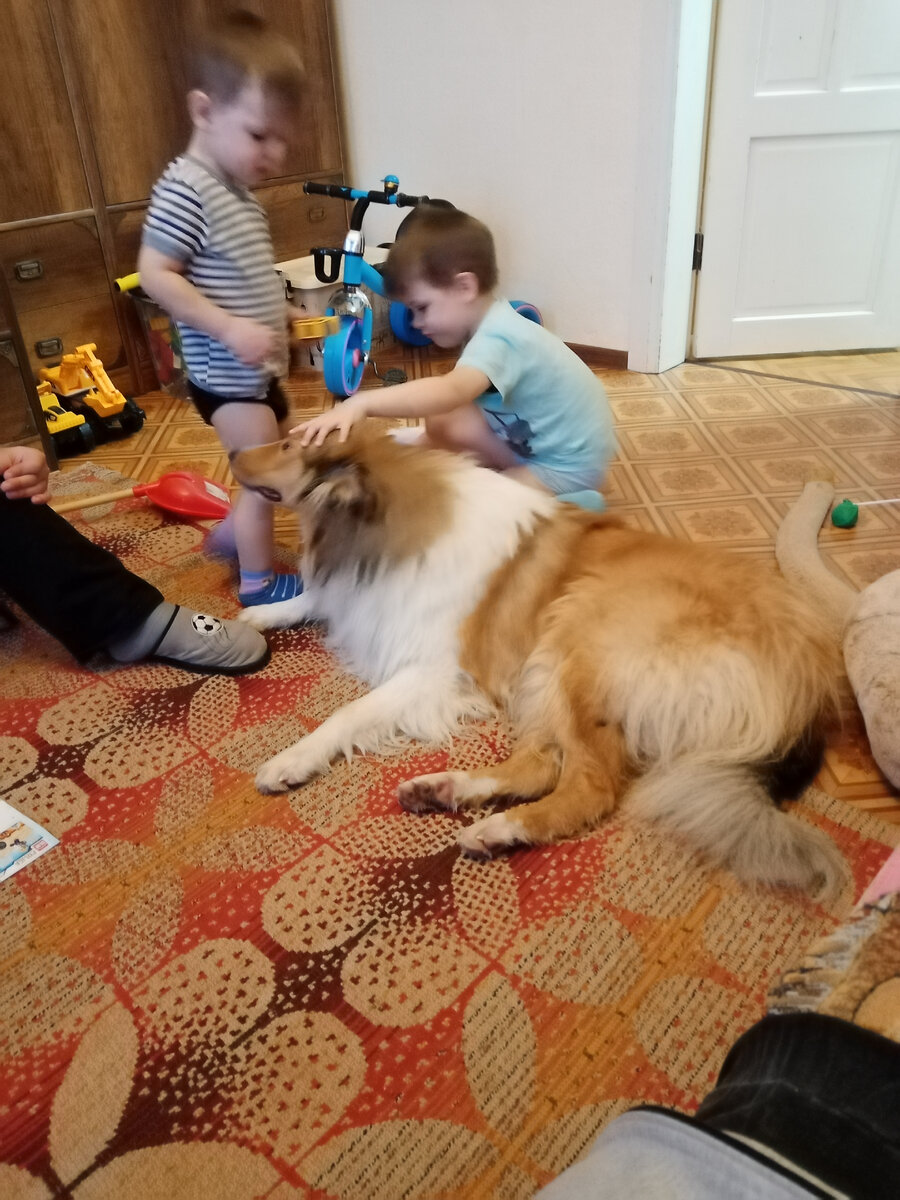 Внуки и Петька