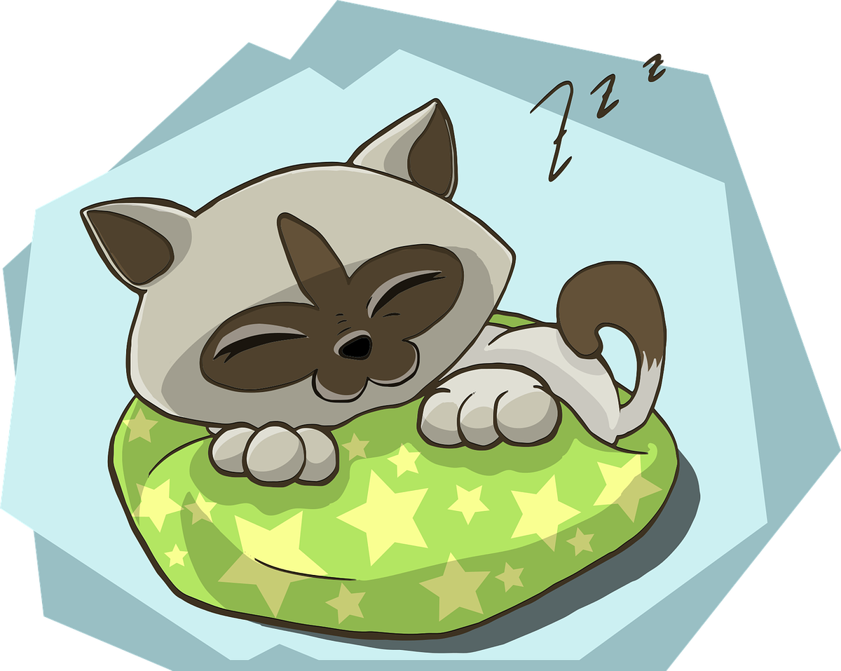 by GraphicMama-team from Pixabay