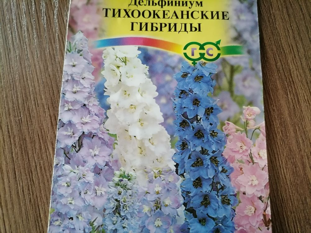 Дельфиниум Тихоокеанские гибриды. Дельфиниум Тихоокеанские гибриды выращивание из семян. Дельфиниум выращивание из семян. Дельфиниум Тихоокеанские гибриды фото.