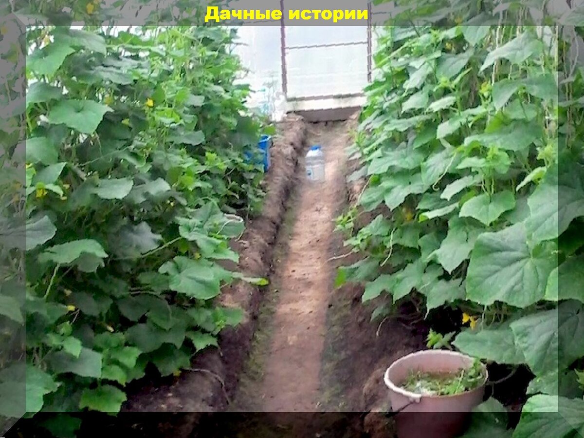 https://vk.com/photo-159774511_457247967