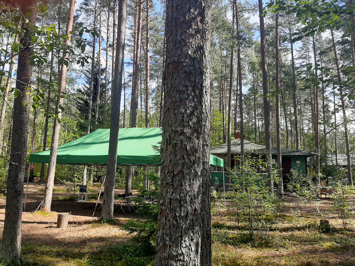 Дачи Литфонда