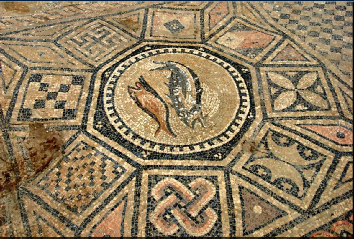 Фото из открытых источников