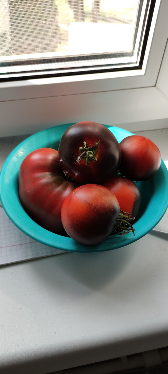 Эти на семена 🍅